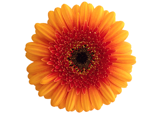 Wakita